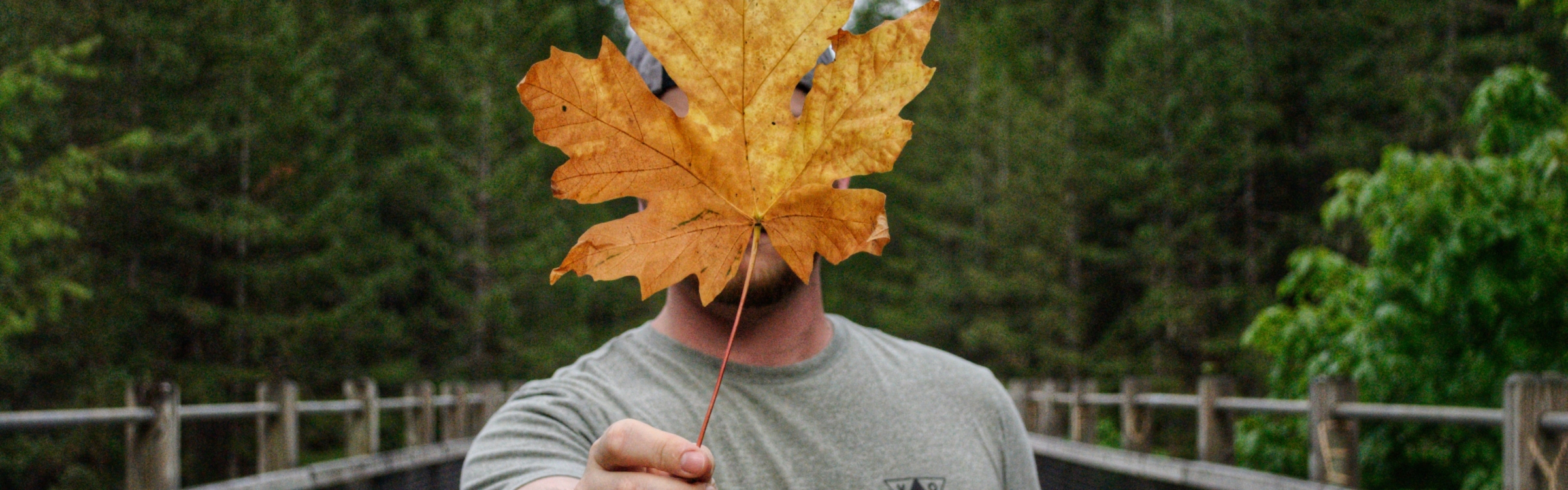 man with leaf in front of his face
